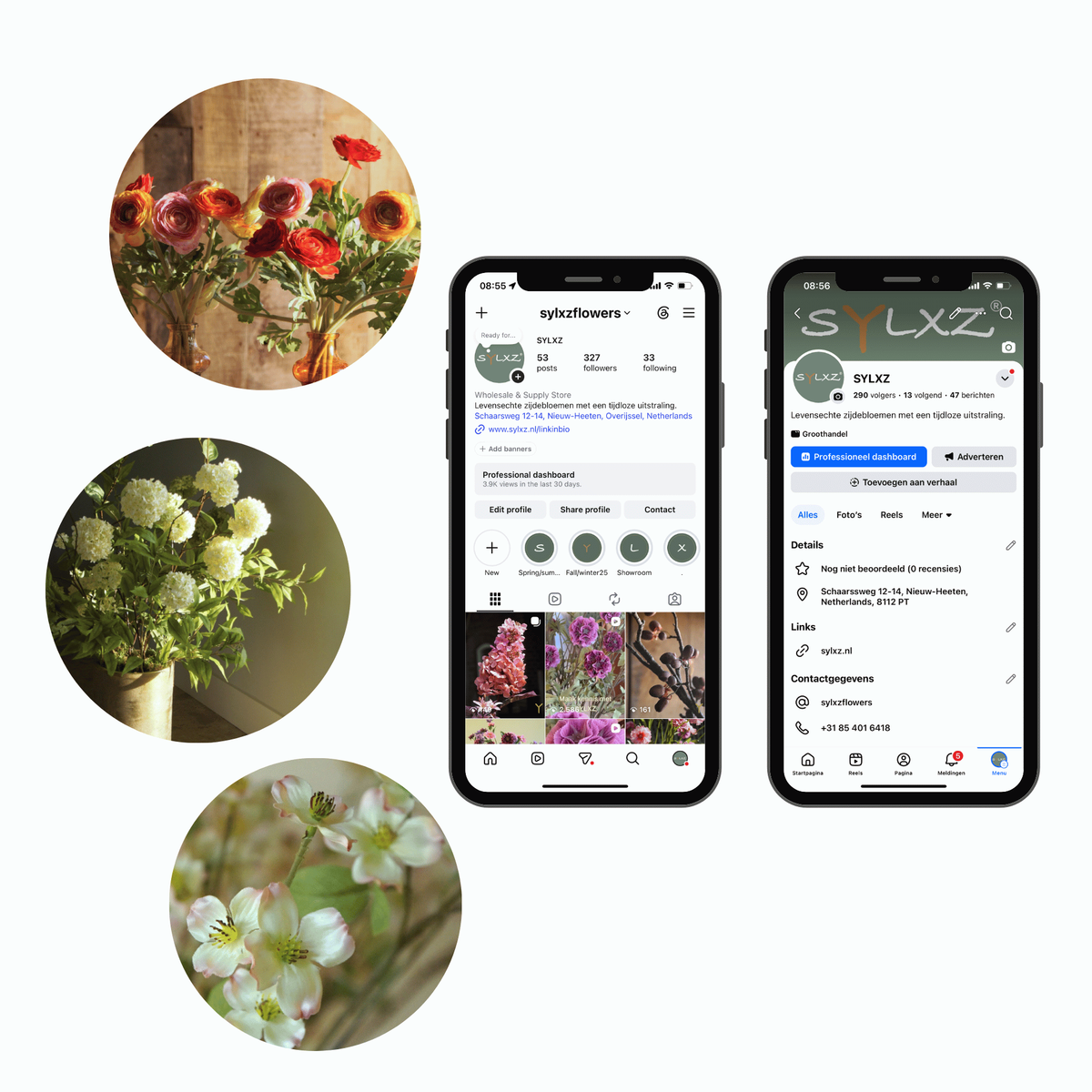 Sylxz social media