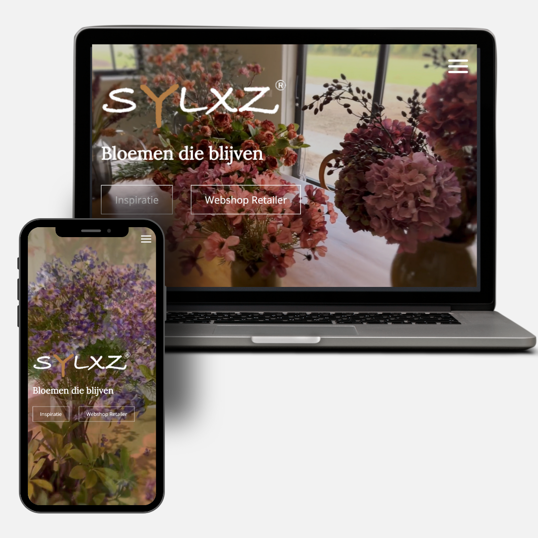 SYLXZ, Social media, Online Marketing, Website